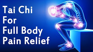 FullBody Pain Relief A Holistic Approach to Wellbeing  Taichi Zidong [upl. by Carlin]