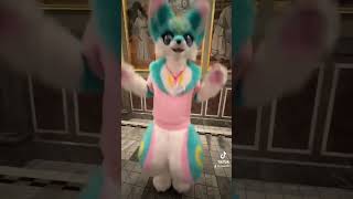 ハッピーハッピー 猫ミーム fallog fursuiteveryday fursuitfriday ケモノワルツ [upl. by Tressia]