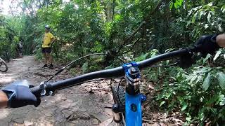 Marin Bobcat Trail 5 at Chestnut North  Bukit Timah MTB trail [upl. by Chandler359]