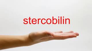 How to Pronounce stercobilin  American English [upl. by Aceissej]