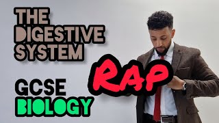 Science Raps GCSE Biology  The Digestive System [upl. by Ardella]