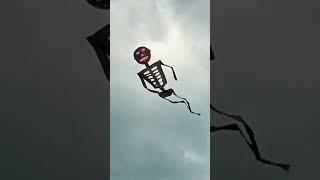 TEST FLY SKELETON KITE [upl. by Emile]