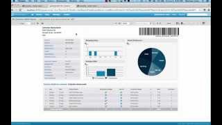 Visualizejs Embedding a Report with Parameters [upl. by Neilla]