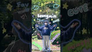 Skz wallpaper ideas requsted skz puppym stay skzstay  Rizzhooned [upl. by Erline606]