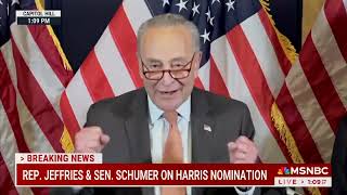 Chuck Schumer is REALLY EXCITED for Kamala Harris Shes got GRASSROOTS SUPPORT [upl. by Yldarb943]