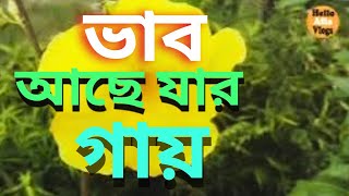 Vab Ache Jar Gsy  ভাব আছে যার গায়  Hello Afia Vlogs  2024 [upl. by Gaige]