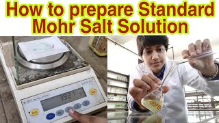 Prepare Standard Mohr Salt Solution in Hindi M10 in 100mL Chemistry Practical  Science Think [upl. by Parrish]