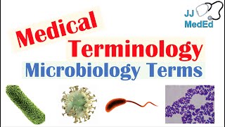 Medical Terminology  The Basics  Microbiology and Infectious Diseases Lesson [upl. by Ennovyhc693]