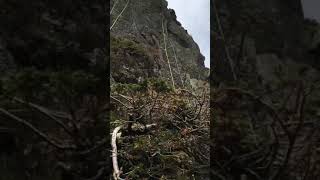 Golden Slipper Second pitch Pavey Ark Lake District rock climbing [upl. by Kiryt224]