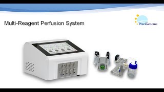 PreciGenome iFlow MultiReagent Perfusion System Demo Pulse Free Flow for cell culture study [upl. by Mullins]