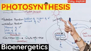 Photosynthesis  Reaction of photosynthesis class 11 bioenergetics [upl. by Basset]