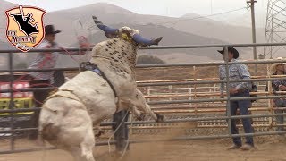 Retooo Gansito de Nayarit Vs HarleyÂ¡Â¡ Rancho La Furia en el Sherifs posse Grounds de Salinas CA [upl. by Ludwigg524]