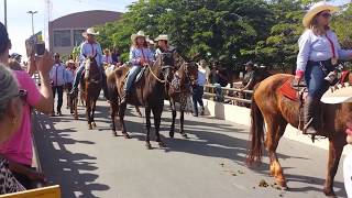 Cavalgada chegando em Trindade 2015 [upl. by Sheya]