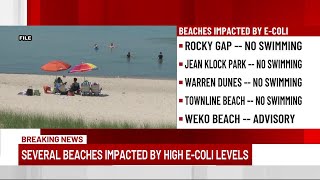 Several Berrien County beaches closed to swimming due to E coli [upl. by Ayhdiv644]