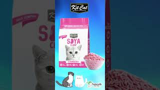 Kit Cat SOYA CLUMP Cat Litter cat catlitter kitcat [upl. by Colas979]