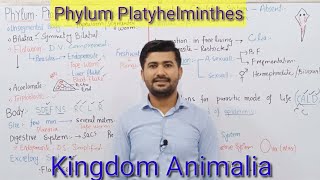 105 Phylum platyhelminthes  kingdom Animalia  Fsc Biology class 11 [upl. by Reteid]