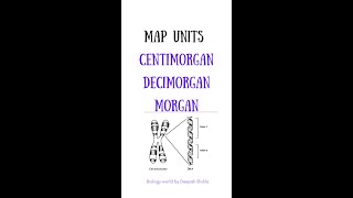 Map Units  Centimorgan  Decimorgan  Morgan l Shorts [upl. by Levana]