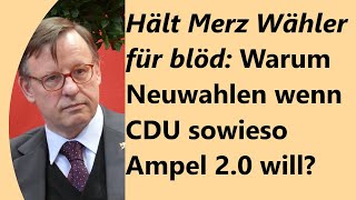 NUR SchwarzBlau bräuchte die Neuwahl die Merz so lautstark fordert [upl. by Minta]