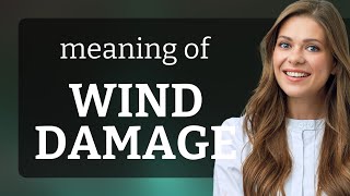 Understanding quotWind Damagequot An English Language Guide [upl. by Meijer170]