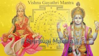 Om Narayanaye Vidmahe Vasudevaya Dhimahi Tanno Vishnu Prachodayat  Narayana Gayatri Mantra [upl. by Bale]