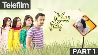 Bekar Bakra  Part 1  Eid Special Telefilm  Neelum Munir  Hina  Ahmed  Urdu1 TV [upl. by Annahtur709]