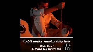 Cecè Barretta  Amo la Notte Rmx  Official Remix Simone De Tommaso [upl. by Ahsiloc]