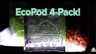 AlgaeBarns EcoPod 4Pack [upl. by Enixam]