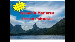 Discover The Stunning Marine Life Of Moorea Island In French Polynesia  The Ultimate World Cruise [upl. by Noskcire365]