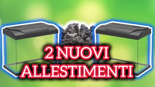 2 NUOVI ALLESTIMENTI [upl. by Osrock]