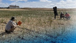 Digging into archaeology in Portugal [upl. by Einalam]