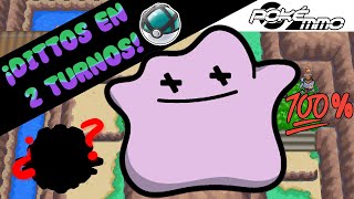 El mejor FARMEO de DITTO en 2 turnos  100 captura  Pokemmo [upl. by Ttenneb]