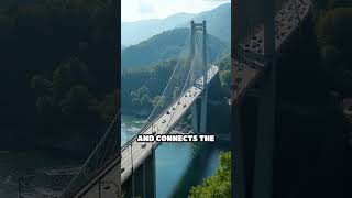 Millau Viaduct The Worlds Tallest Bridge and Engineering Marvel facts comparison mystery shorts [upl. by Nohsed]