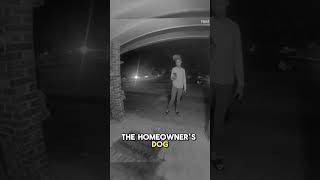 The dog scared the woman doorbellcamera doorbellcam scary dog [upl. by Ahsad106]