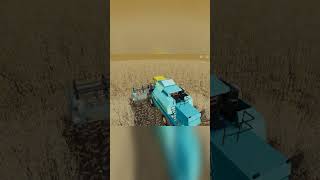 Harvesting rye old equipment in the field farming fs19 rye farmingsimulator19 [upl. by Souvaine]