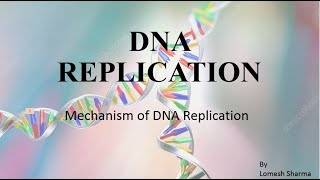 DNA REPLICATION Mechanism HPU BSc 3rd Year [upl. by Roux608]