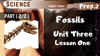 Science  Prep2  Fossils  Part 22  Unit Three  Lesson One [upl. by Yeslah]