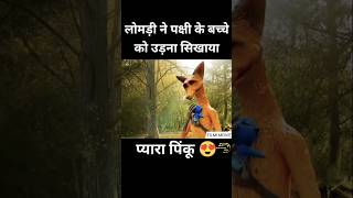 Cartoon movie in Hindi dubbed Southmovie Hollywoodmovie ytshort  shorts viralnow trending [upl. by Ahsercal]