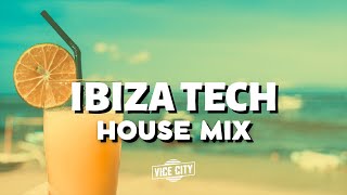 Ibiza Tech House Mix  2023 January [upl. by Oidgime64]