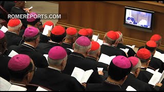 Synod on the Family Top 5 points discussed [upl. by Reniar]