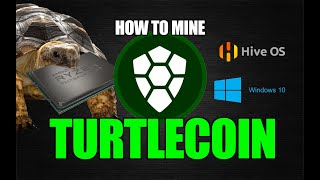 How To Mine TurtleCoin  Windows 10 Hive OS  CPU MINING [upl. by Lengel598]