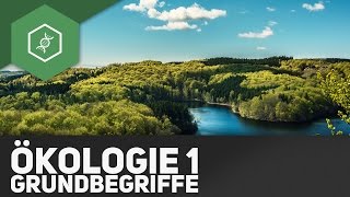 Grundbegriffe der Ökologie  Ökologie 1 [upl. by Virgilio]