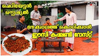 എളുപ്പത്തിൽ കപ്പലണ്ടി റോസ്റ്റും കട്ടൻ ചായയും 😋 Easy Peanut Roast Kappalandi roast AJUS WORLD [upl. by Frazer27]