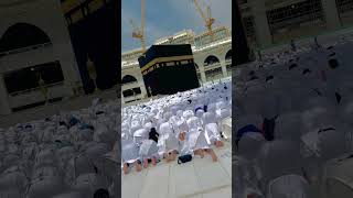 Zameen puchti hai namazi Kahan haishort viral 🇸🇦🇸🇦💚💚🕋🕋🕋🤲🤲 [upl. by Nnylakcaj]