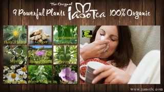 Melt Fat amp Kill Parasites With Iaso Detox Tea [upl. by Marya]