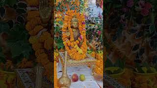 Hanumant pujan gonda  live katha hindufestival hanumangadi ayodhyadham [upl. by Mahmoud]