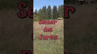 Semer des Forêts  jardin forêt [upl. by Docilu]