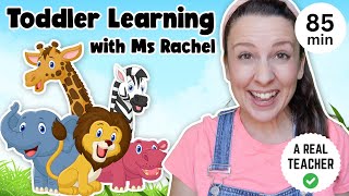 Toddler Learning with Ms Rachel  Learn Zoo Animals  Kids Songs  Educational Videos for Toddlers [upl. by Ayana266]