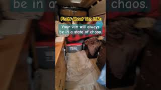 My MESSY VAN LIFE  CHAOS and dogs vanlifejernie vanlifedogs vanlifer vanlifebc [upl. by Artsa]