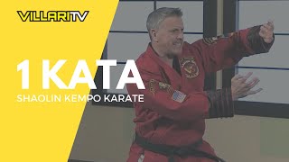 Learn 1 Kata from Grandmaster Villaris  Shaolin Kempo Karate [upl. by Edaj]