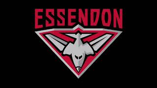 Essendon Theme Song 2024 [upl. by Ruenhs]